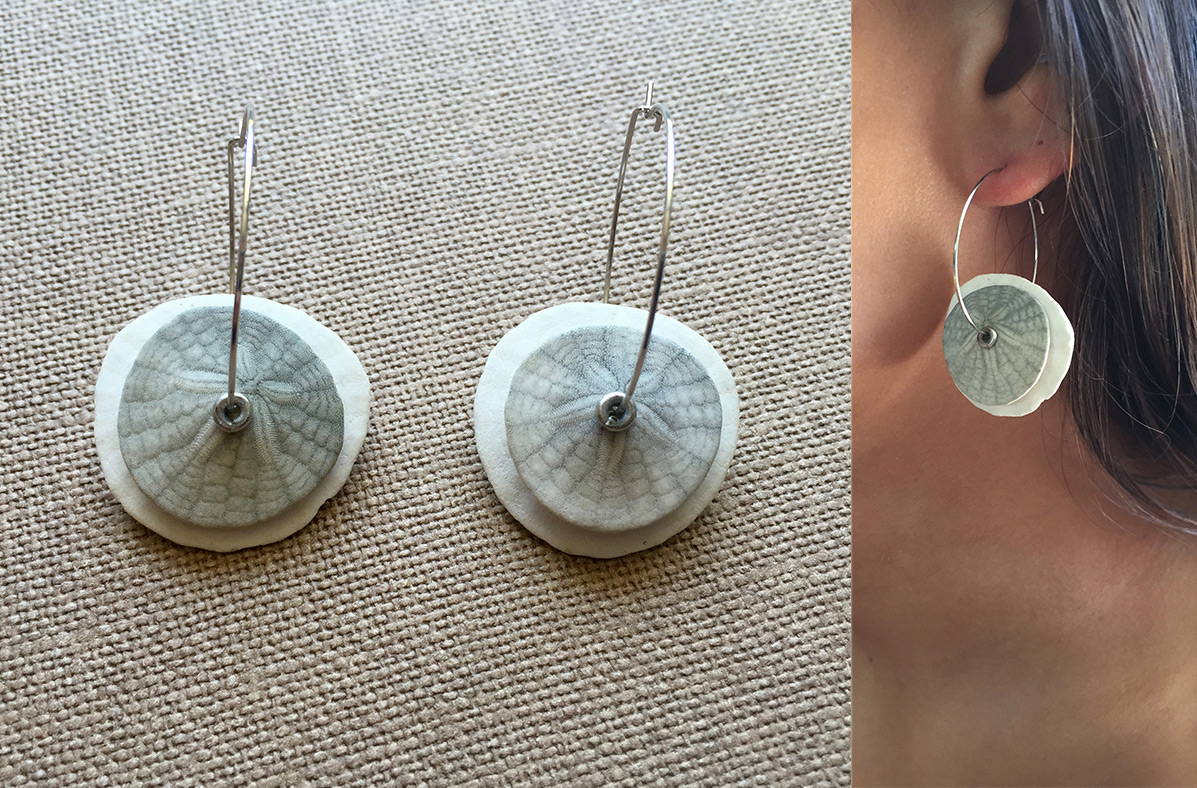 Earring sand dollar